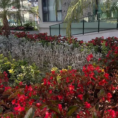 в 150м от моря, тосмур * 알란야