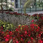 в 150м от моря, тосмур * Alanya